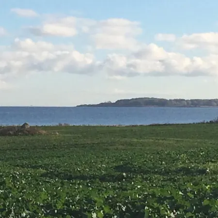 Bjornegarden Panzió